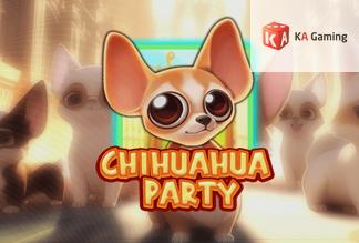 Chihuahua Party